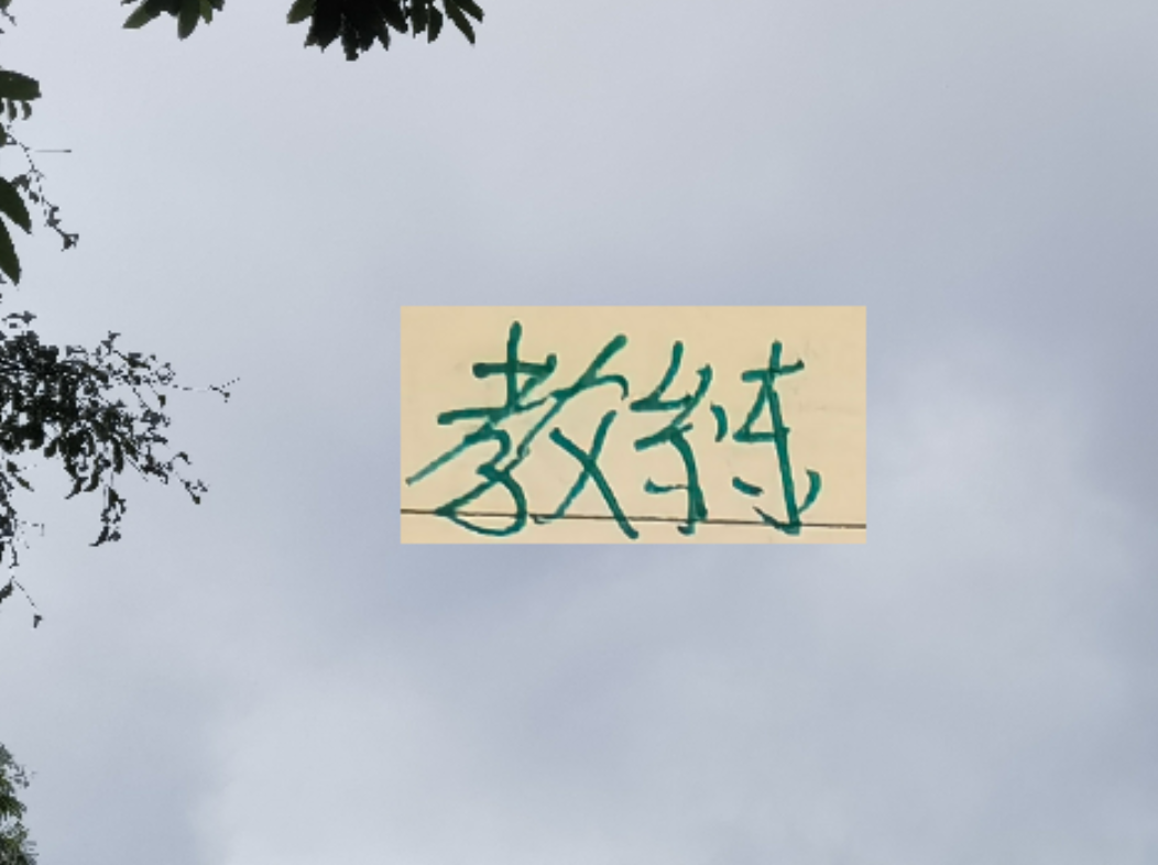 华体会体育-越折腾越能拿冠军 ！五年来海港4次换教练 4夺冠军